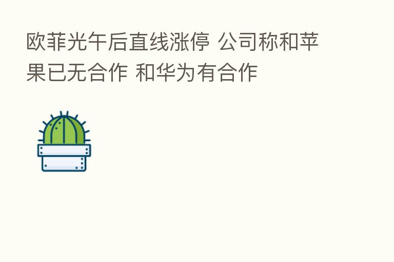 欧菲光午后直线涨停 公司称和苹果已无合作 和华为有合作