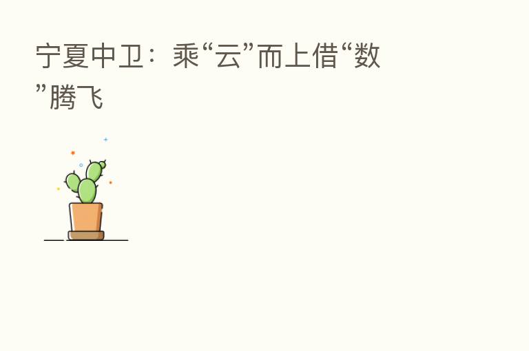 宁夏中卫：乘“云”而上借“数”腾飞