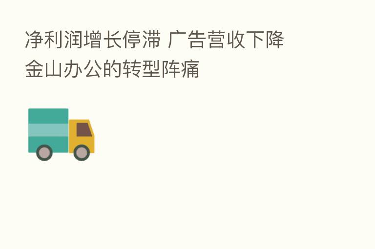 净利润增长停滞 广告营收下降 金山办公的转型阵痛