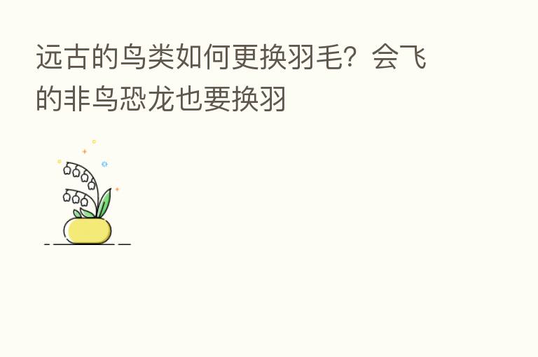 远古的鸟类如何更换羽毛?会飞的非鸟恐龙也要换羽