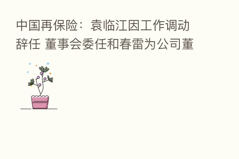中国再      ：袁临江因工作调动辞任 董事会委任和春雷为公司董事长