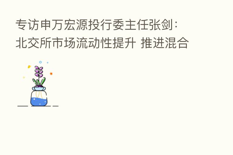 专访申万宏源投行委主任张剑：北交所市场流动性提升 推进混合做市等制度尽快落地