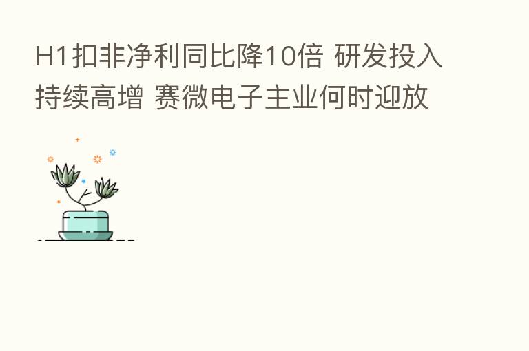 H1扣非净利同比降10倍 研发投入持续高增 赛微电子主业何时迎放量拐点?|中报追踪