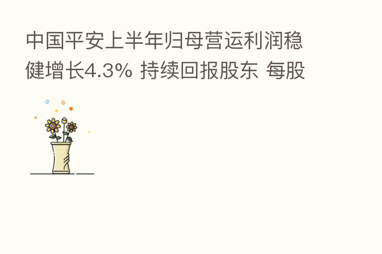 中国平安上半年归母营运利润稳健增长4.3% 持续回报股东 每股派息提升4.5%