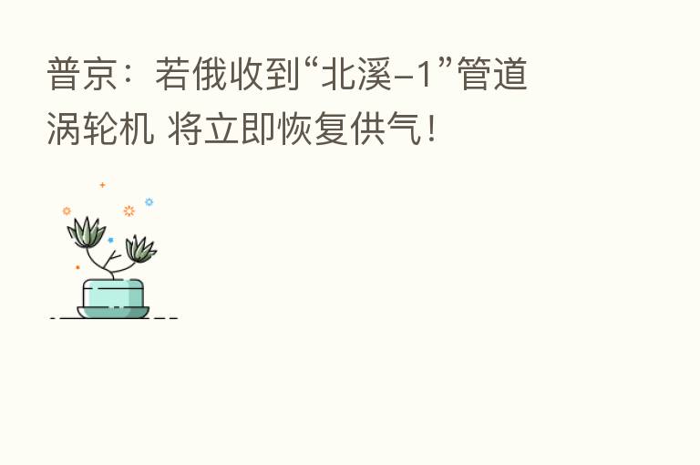 普京：若俄收到“北溪-1”管道涡轮机 将立即恢复供气！