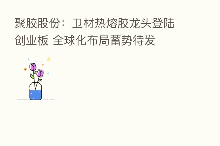 聚胶股份：卫材热熔胶龙头登陆创业板 全球化布局蓄势待发