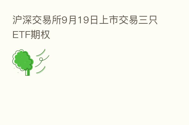 沪深交易所9月19日上市交易三只ETF期权
