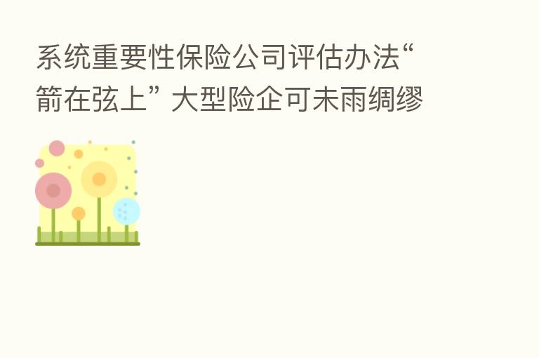 系统重要性      公司评估办法“箭在弦上” 大型险企可未雨绸缪