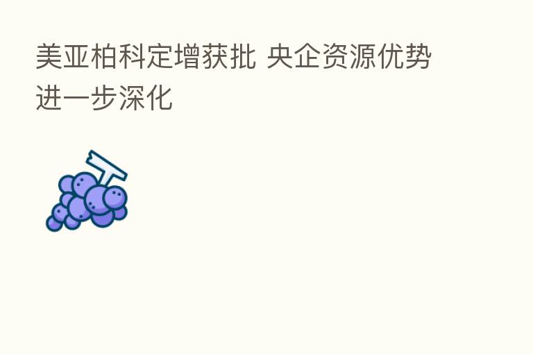 美亚柏科定增获批 央企资源优势进一步深化