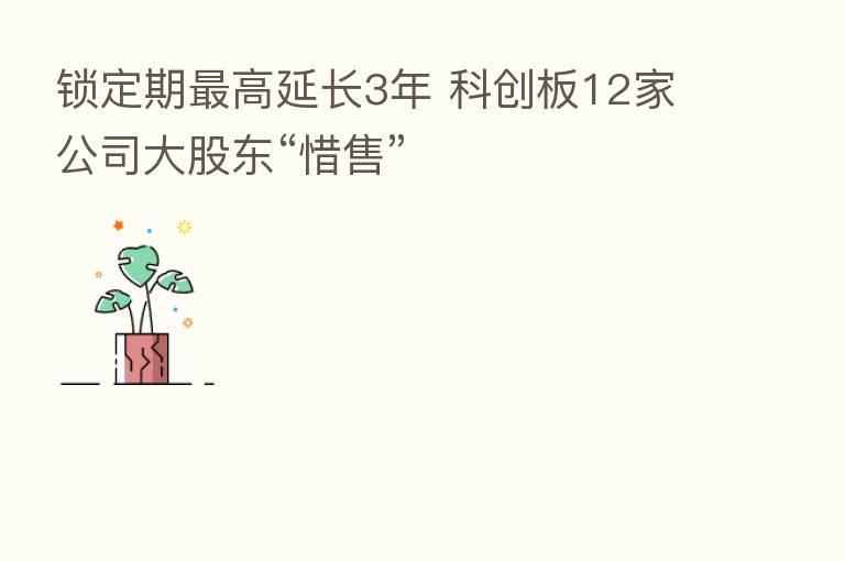 锁定期   高延长3年 科创板12家公司大股东“惜售”