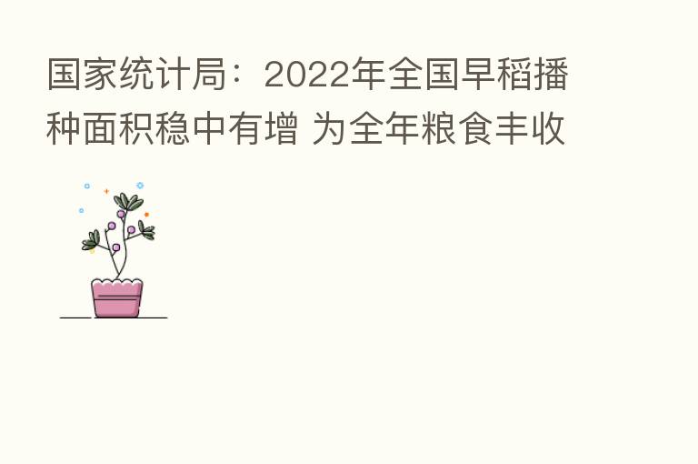 国家统计局：2022年全国早稻播种面积稳中有增 为全年粮食丰收奠定良好基础