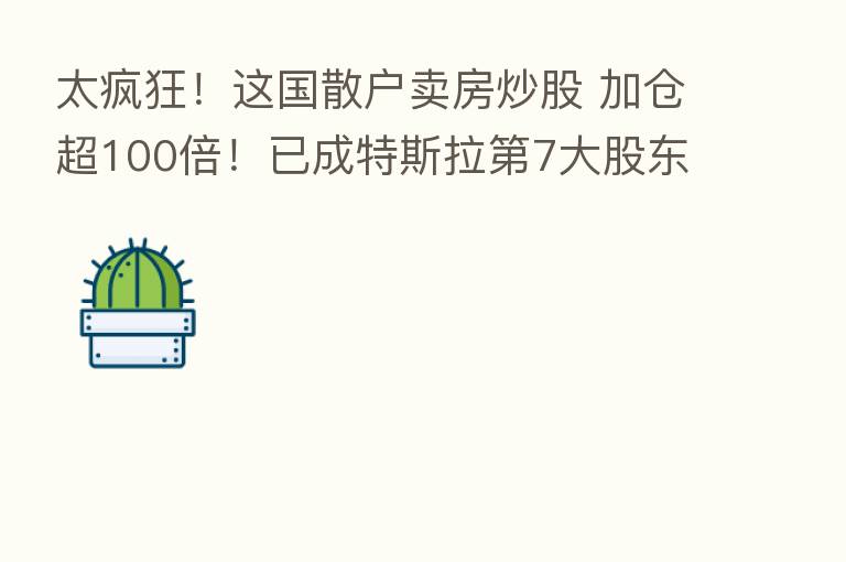 太疯狂！这国散户卖房炒股 加仓超100倍！已成特斯拉   7大股东 还盯上中国“锂王”！
