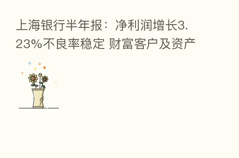 上海银行半年报：净利润增长3.23%不良率稳定 财富客户及资产均增长约13%