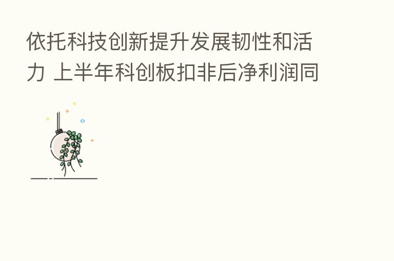 依托科技创新提升发展韧性和活力 上半年科创板扣非后净利润同比增29%