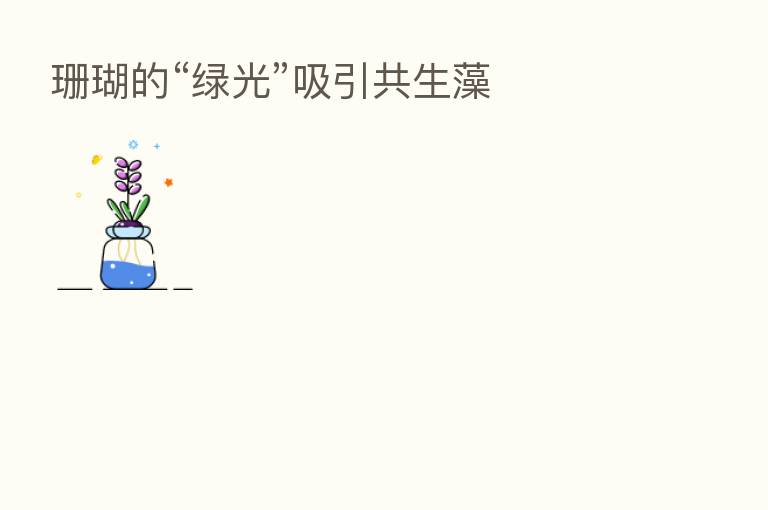 珊瑚的“绿光”吸引共生藻