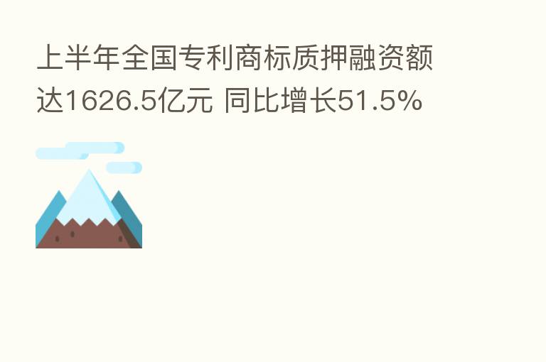 上半年全国专利商标质押融资额达1626.5亿元 同比增长51.5%