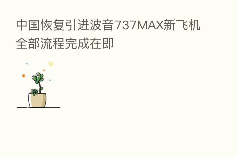 中国恢复引进波音737MAX新飞机全部流程完成在即