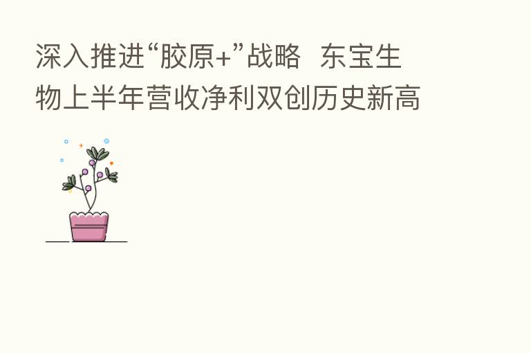 深入推进“胶原+”战略  东宝生物上半年营收净利双创历史新高