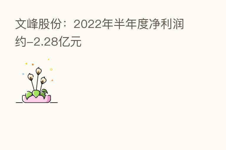 文峰股份：2022年半年度净利润约-2.28亿元