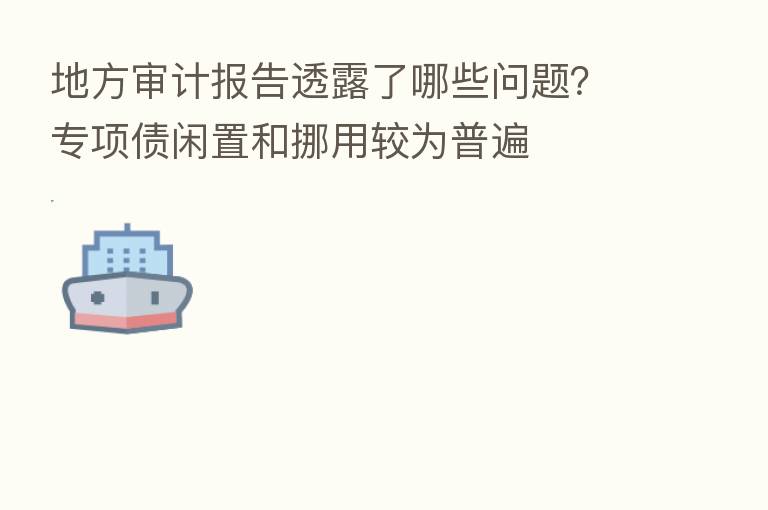 地方审计报告透露了哪些问题?专项债闲置和挪用较为普遍