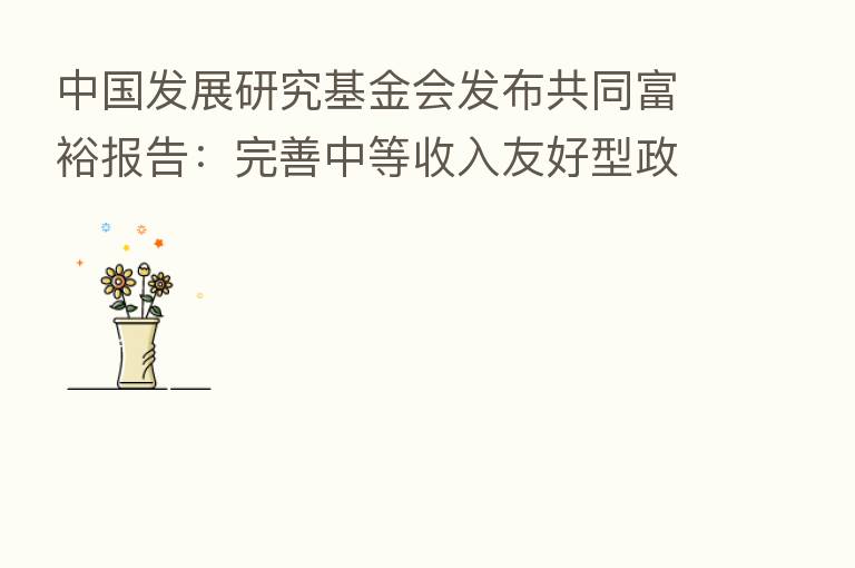 中国发展研究基金会发布共同富裕报告：完善中等收入友好型政策 构建生活质量评价框架