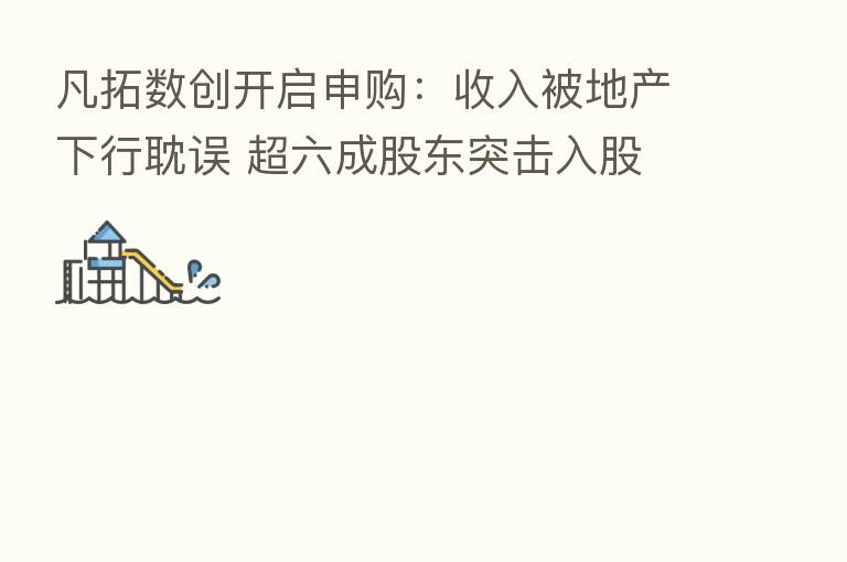 凡拓数创开启申购：收入被地产下行耽误 超六成股东突击入股
