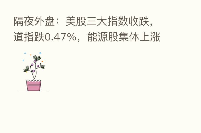 隔夜外盘：美股三大指数收跌，道指跌0.47%，能源股集体上涨