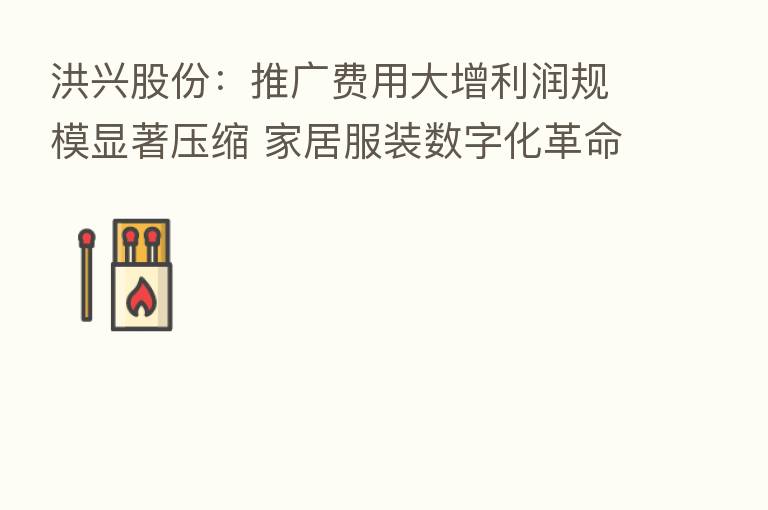 洪兴股份：推广费用大增利润规模显著压缩 家居服装数字化革命痛并快乐着