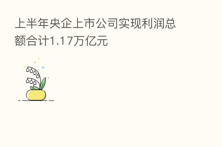 上半年央企上市公司实现利润总额合计1.17万亿元