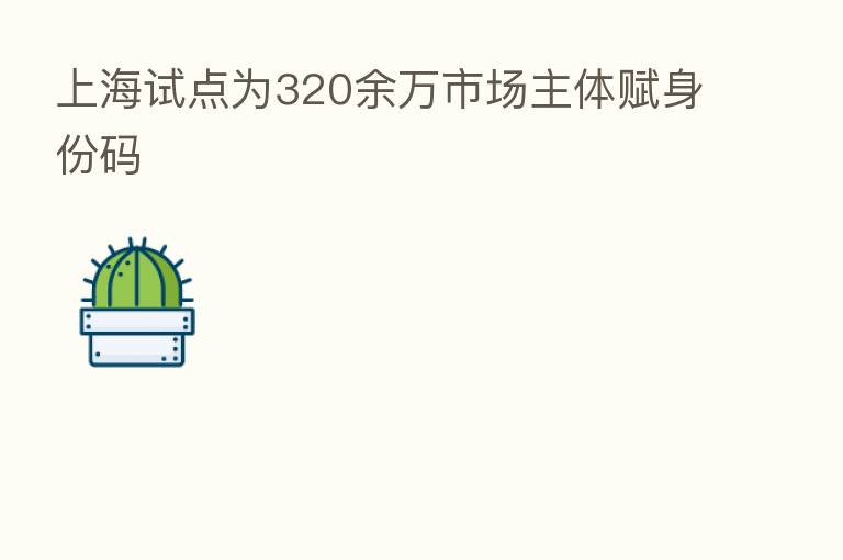 上海试点为320余万市场主体赋身份码