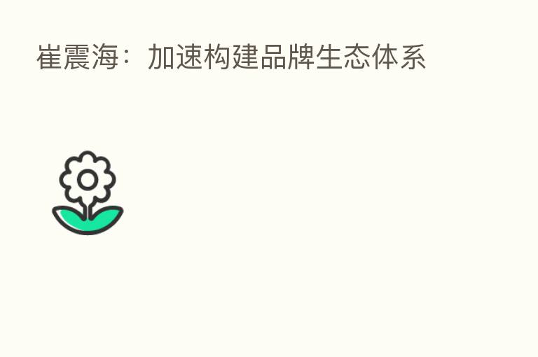 崔震海：加速构建品牌生态体系