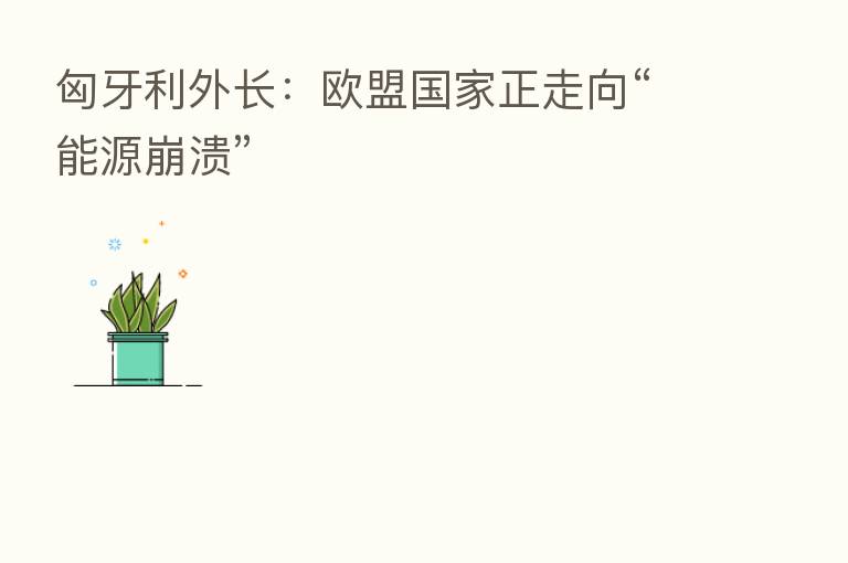 匈牙利外长：欧盟国家正走向“能源崩溃”