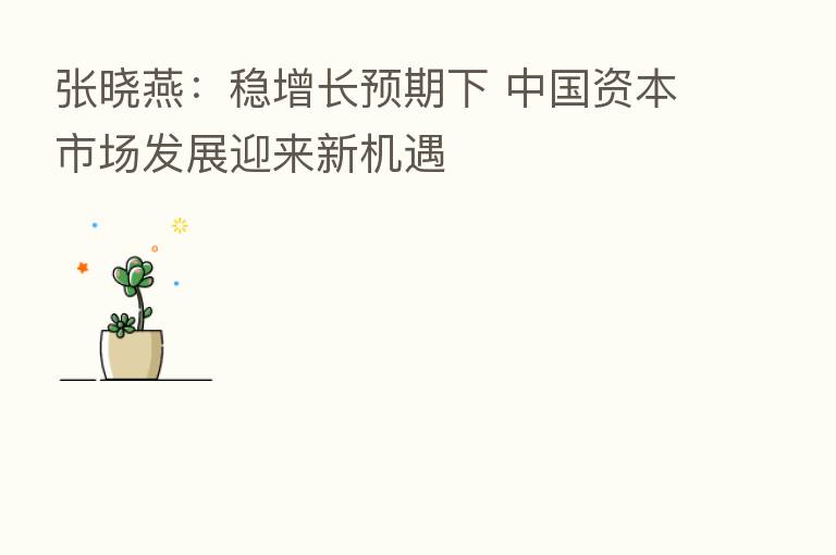 张晓燕：稳增长预期下 中国资本市场发展迎来新机遇