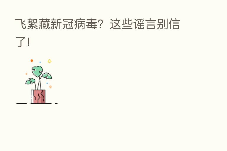 飞絮藏新冠病毒？这些谣言别信了!