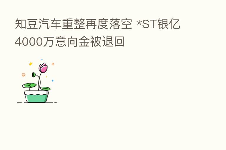 知豆汽车重整再度落空 *ST银亿4000万意向金被退回