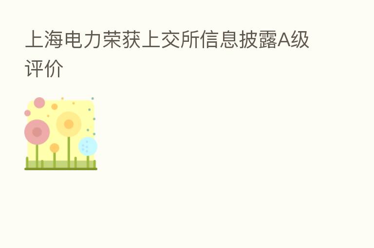 上海电力荣获上交所信息披露A级评价