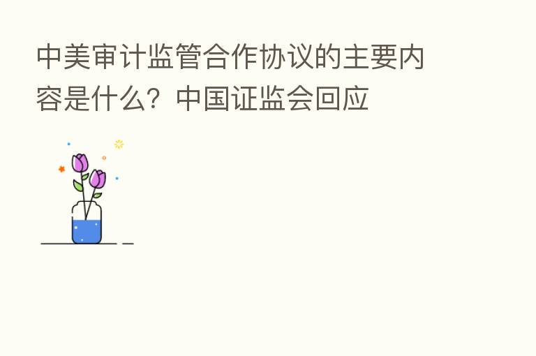 中美审计监管合作协议的主要内容是什么?中国证监会回应