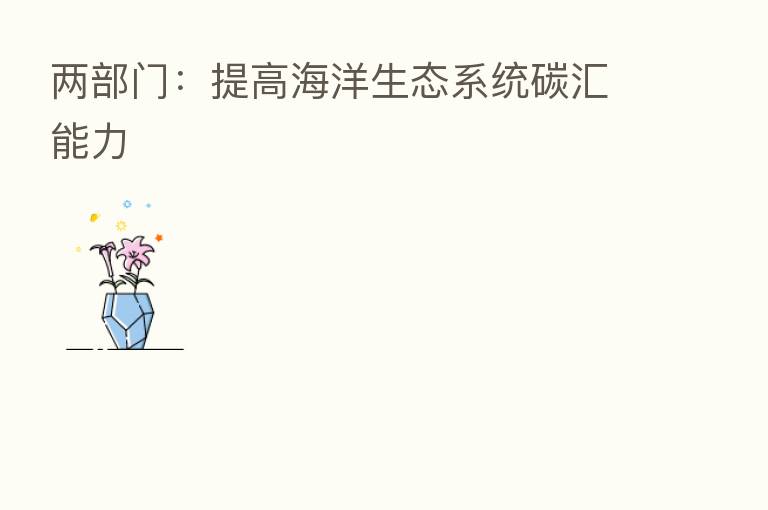 两部门:提高海洋生态系统碳汇能力