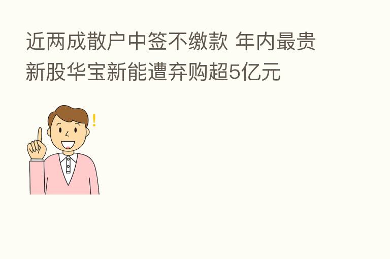 近两成散户中签不缴款 年内   贵新股华宝新能遭弃购超5亿元