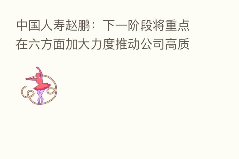 中国人寿赵鹏：下一阶段将重点在六方面加大力度推动公司高质量发展