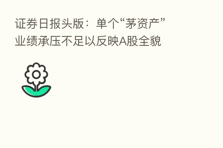 证券日报头版:单个“茅资产”业绩承压不足以反映A股全貌