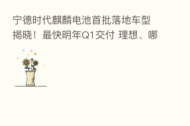 宁德时代麒麟电池首批落地车型揭晓! 快明年Q1交付 理想、哪吒汽车“缺席”