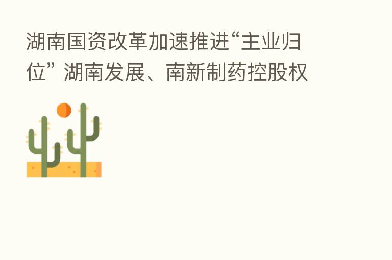 湖南国资改革加速推进“主业归位” 湖南发展、南新制药控股权齐划转