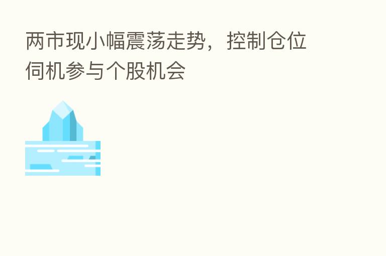 两市现小幅震荡走势,控制仓位伺机参与个股机会