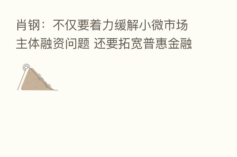 肖钢：不仅要着力缓解小微市场主体融资问题 还要拓宽普惠金融业务范围