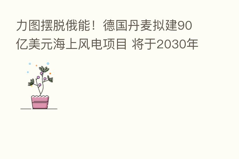 力图摆脱俄能！德国丹麦拟建90亿美元海上风电项目 将于2030年运营