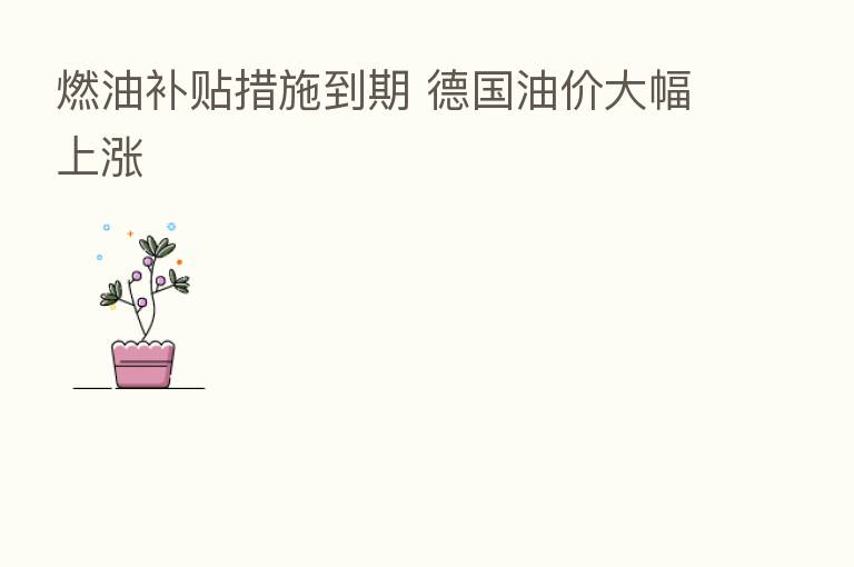 燃油补贴措施到期 德国油价大幅上涨