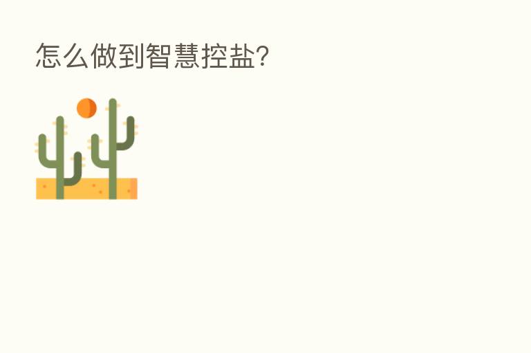 怎么做到智慧控盐?