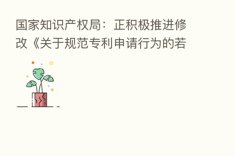 国家知识产权局：正积极推进修改《关于规范专利申请行为的若干规定》