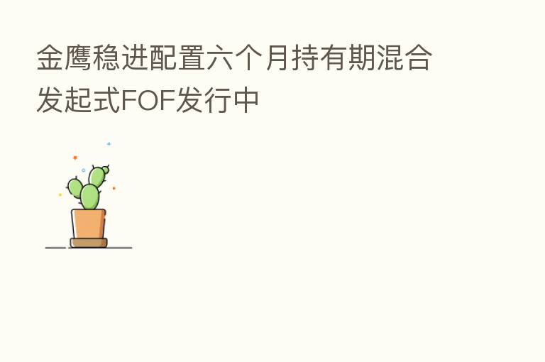 金鹰稳进配置六个月持有期混合发起式FOF发行中
